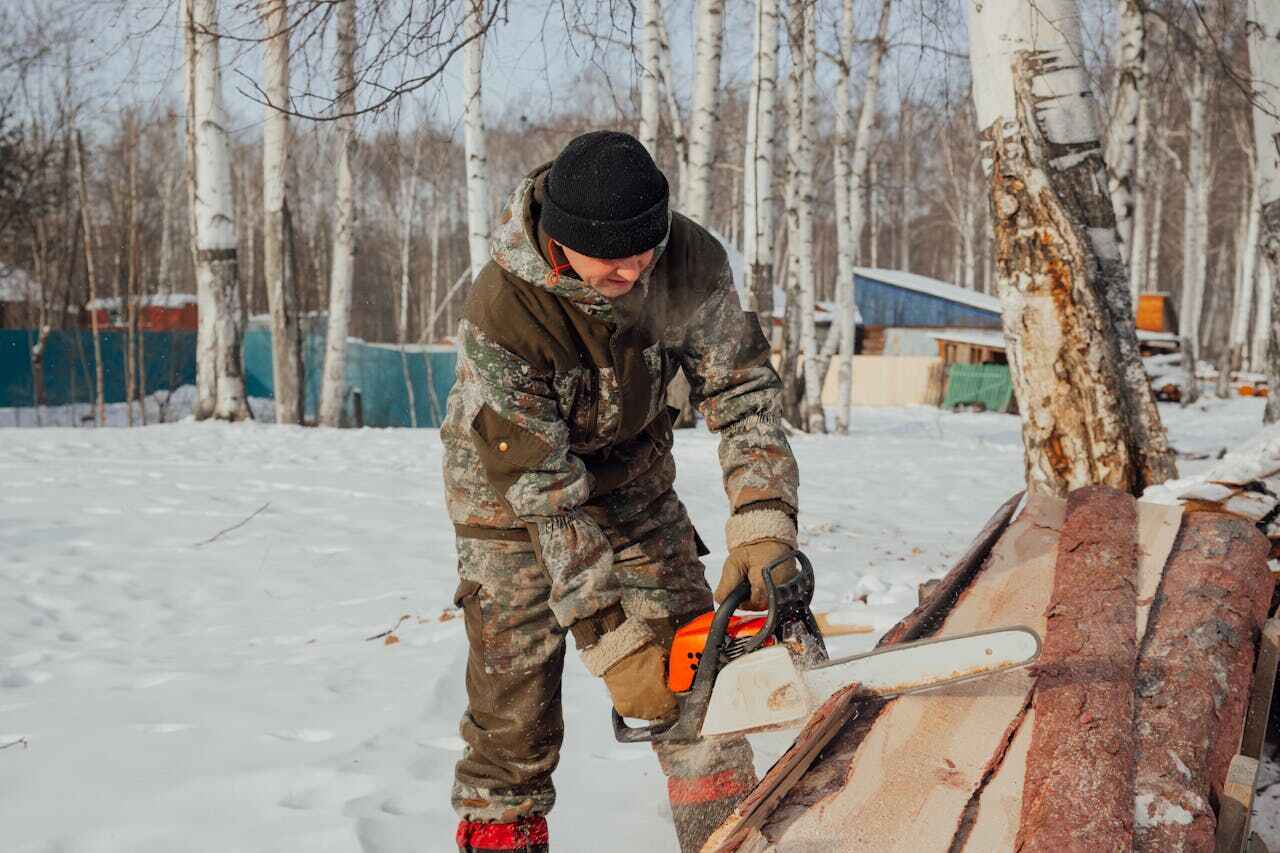 Best Tree Branch Trimming  in North Brooksville, FL